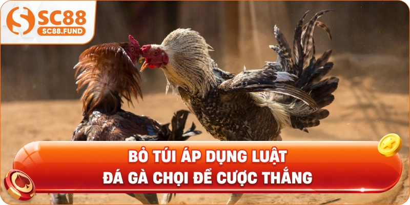 Bỏ túi áp dụng luật đá gà chọi để cược thắng